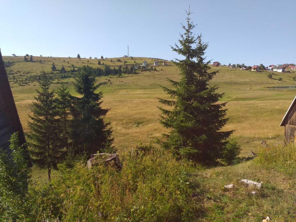 ŽabljakDurmitor公寓 外观 照片